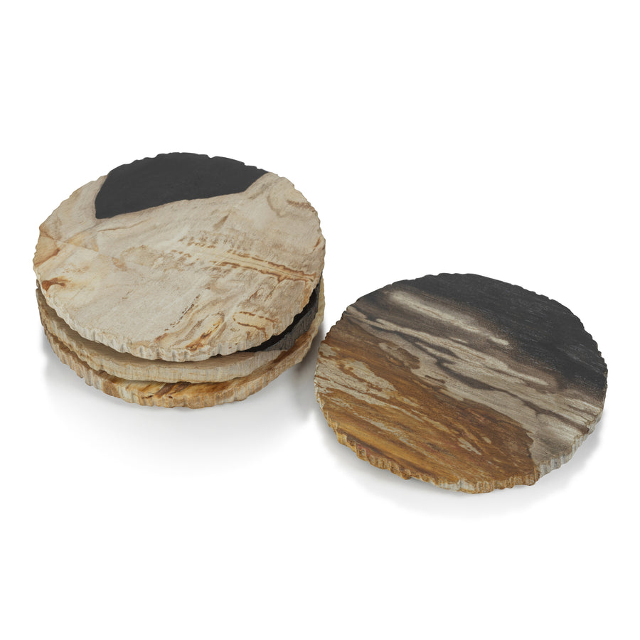 Curio Bay Petrified Wood Coaster - Set of 4 - Image 2