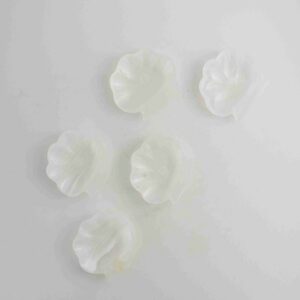 Onyx Shell Trinket Dish